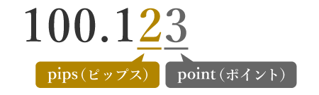 ピップスとポイント