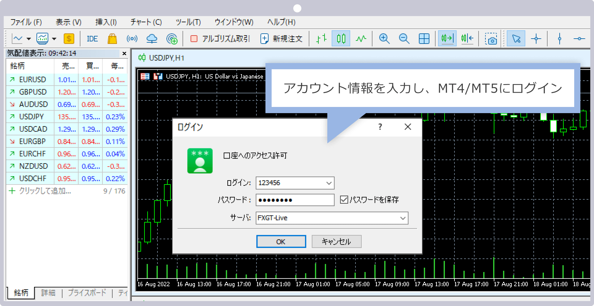 MT4/MT5ログイン画面