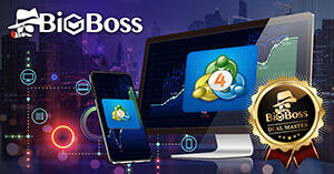 BigBossのMT4 / MT5ダウンロード・インストール方法を図解!
